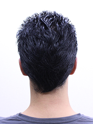 ショートリーゼント