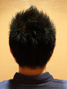 デキる男のソフトモヒカン